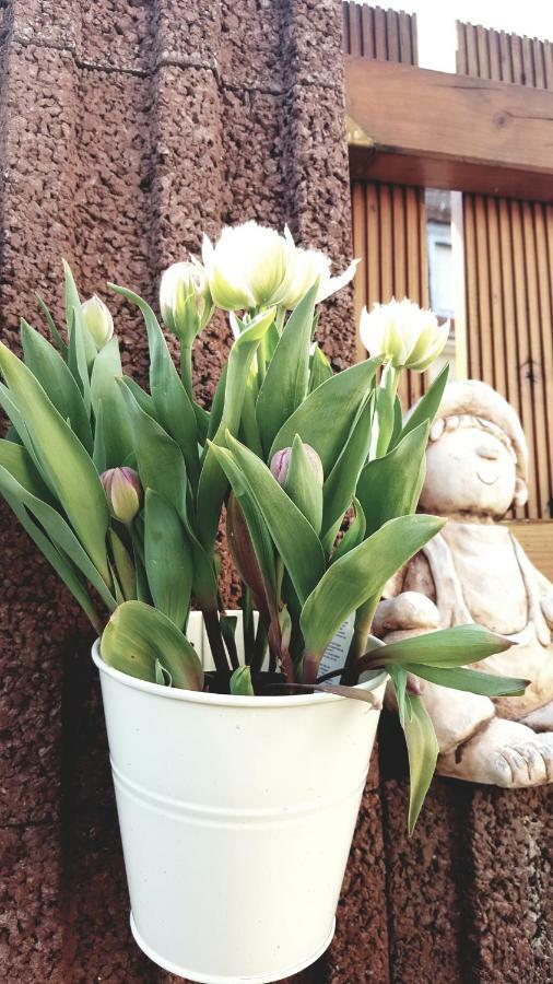 Ferienwohnung Otschik Glan-Munchweiler Kültér fotó
